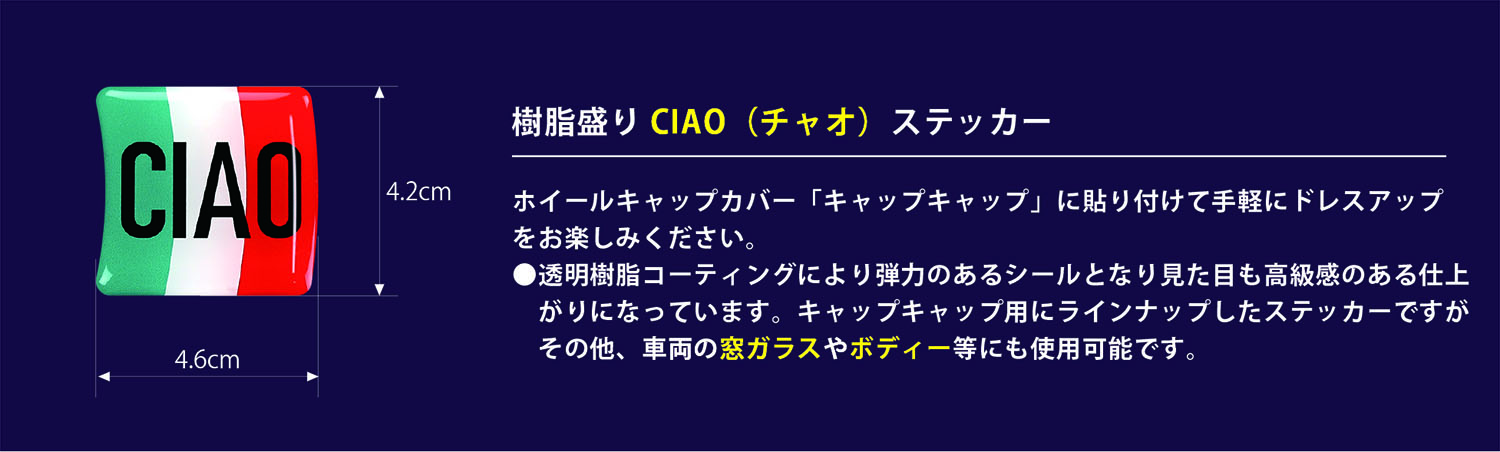 CCF樹脂盛 ステッカー